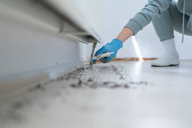 Best Pest Prevention Services  in White Salmon, WA